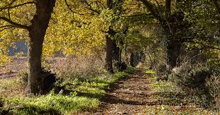 sentier pédestre autour de moi