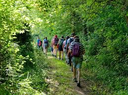 chemin de randonnée à proximité