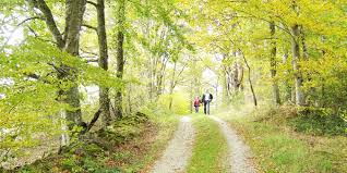 sentier de promenade