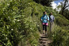 sentier pédestre a proximité