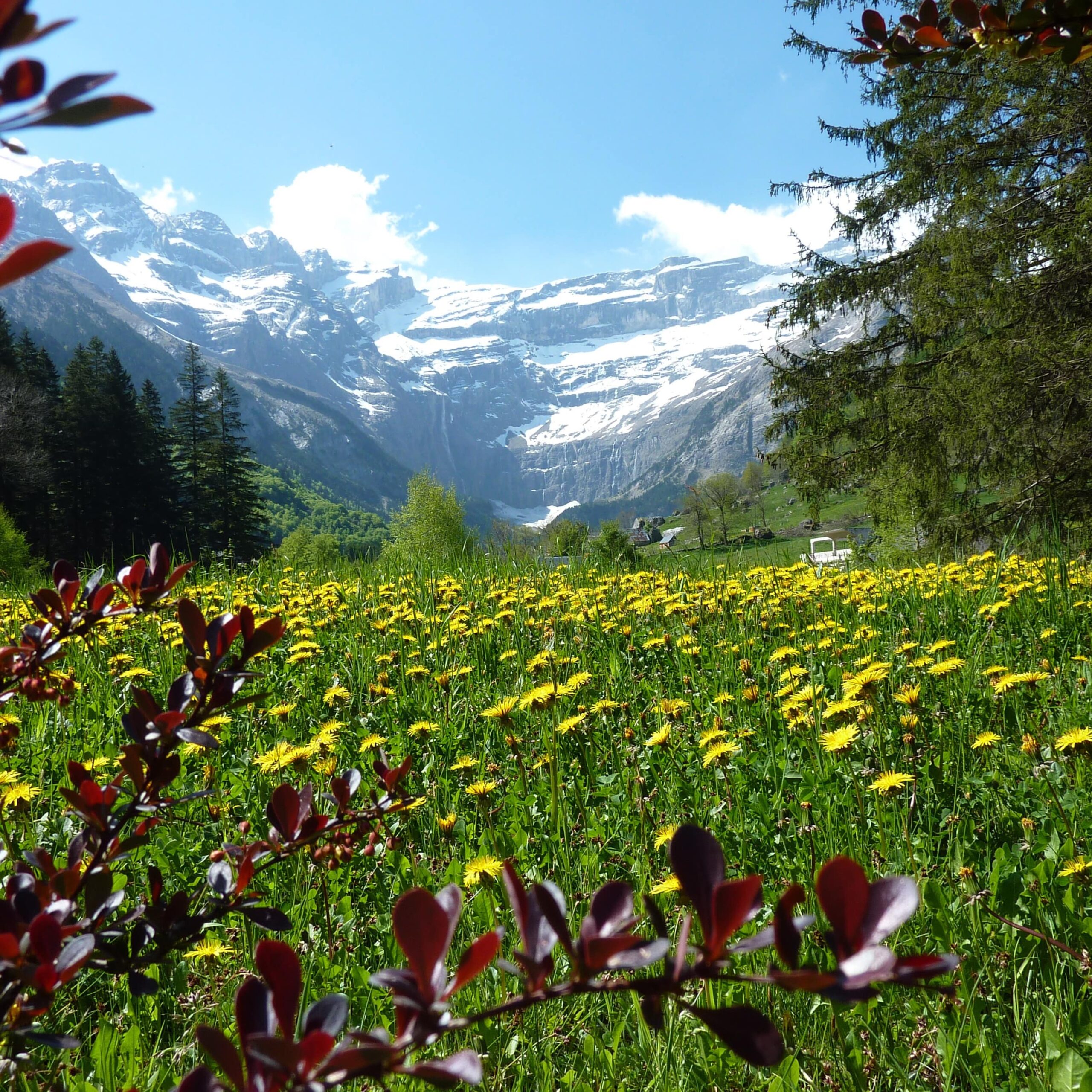 vacances dans les alpes été