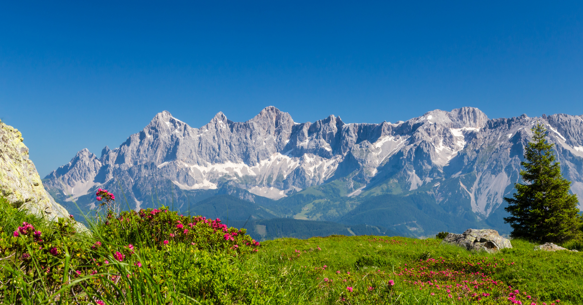 location vacances été montagne