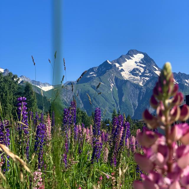 séjour alpes été